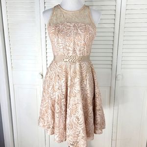 Taylor women 4 sheer embroided 3D lace fit & flare romantic dres cocktail party